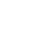 MSG